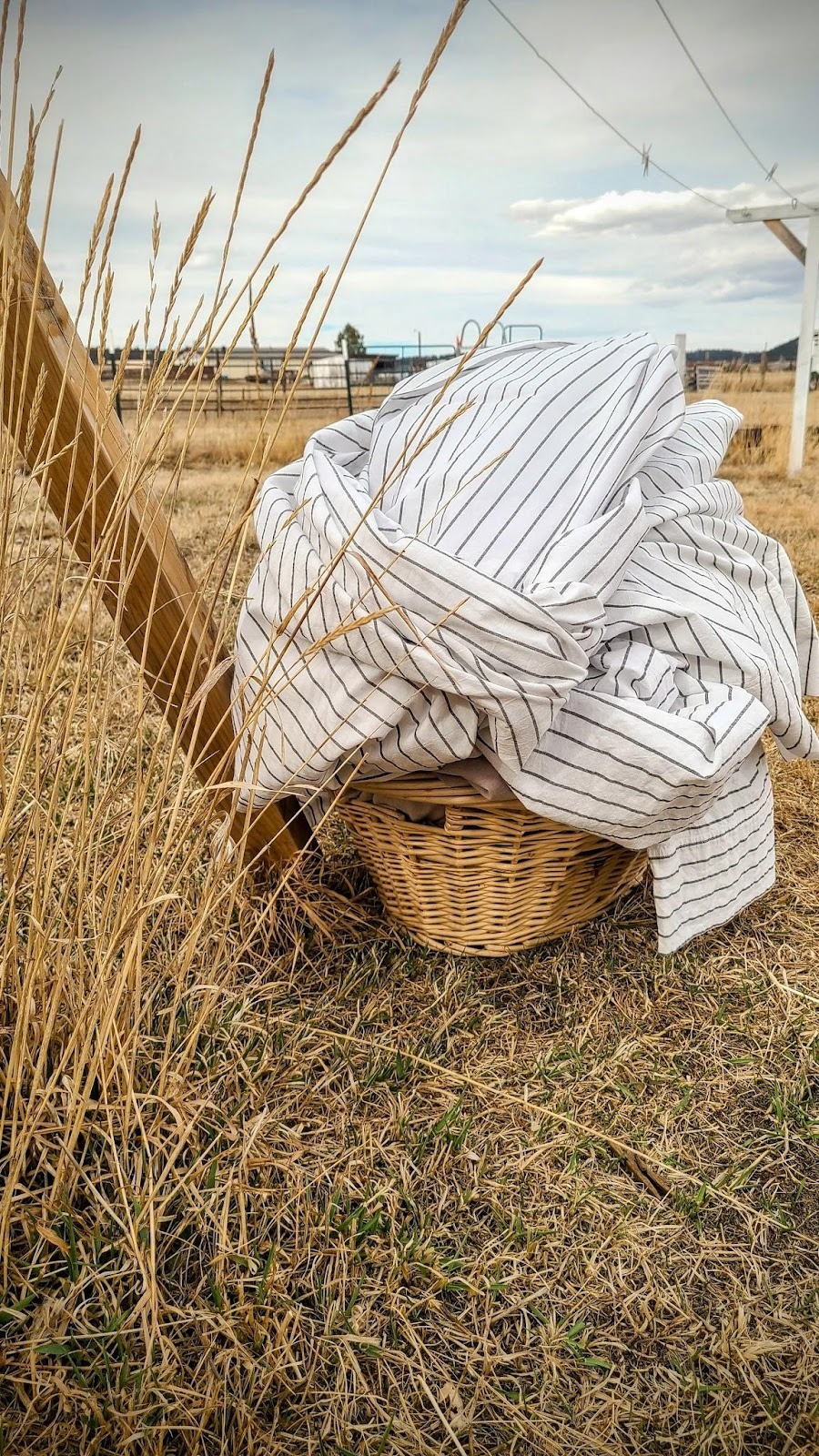 Why Every Home Needs a Clothesline.