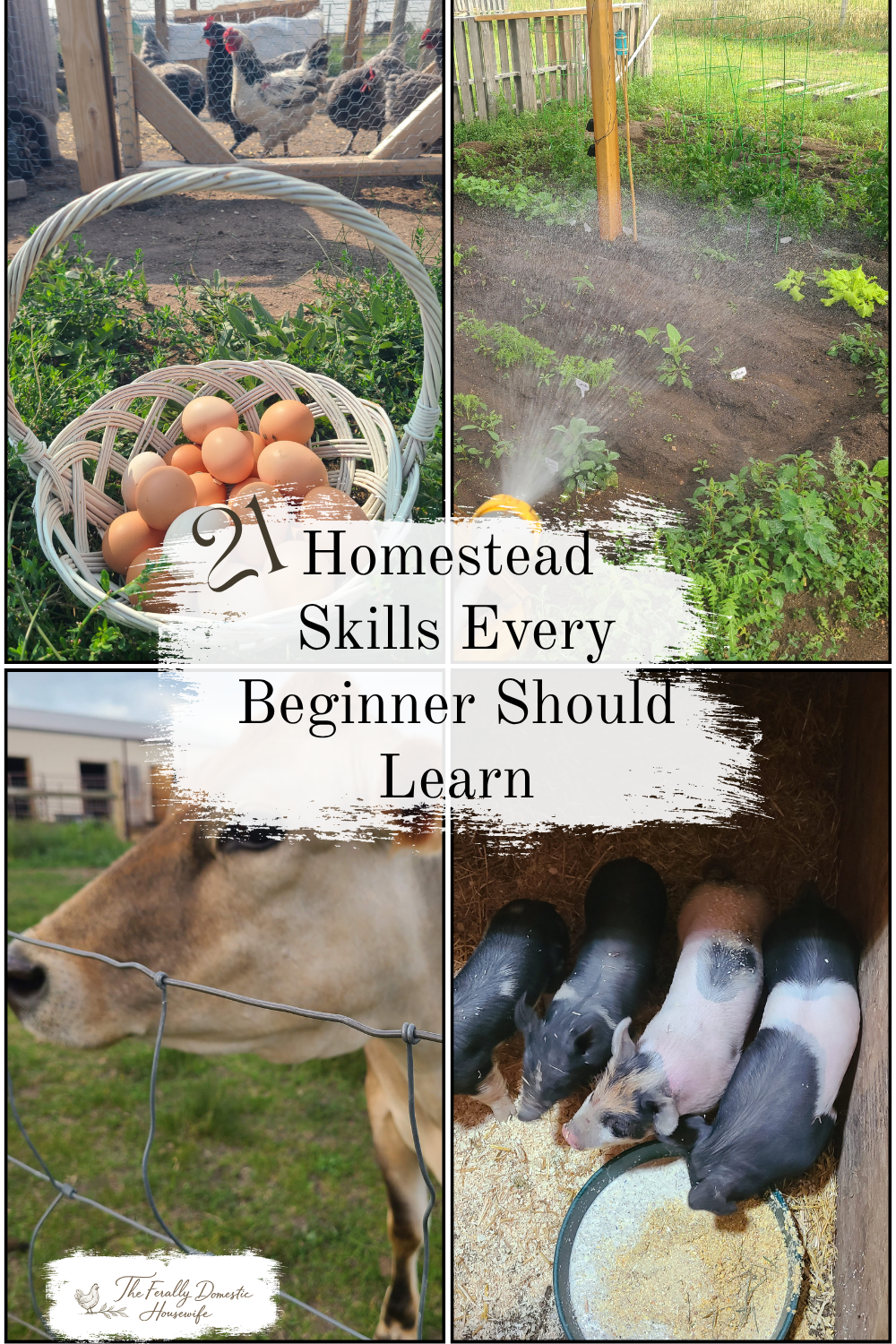 21 Homestead Skills Every Beginner Should Learn