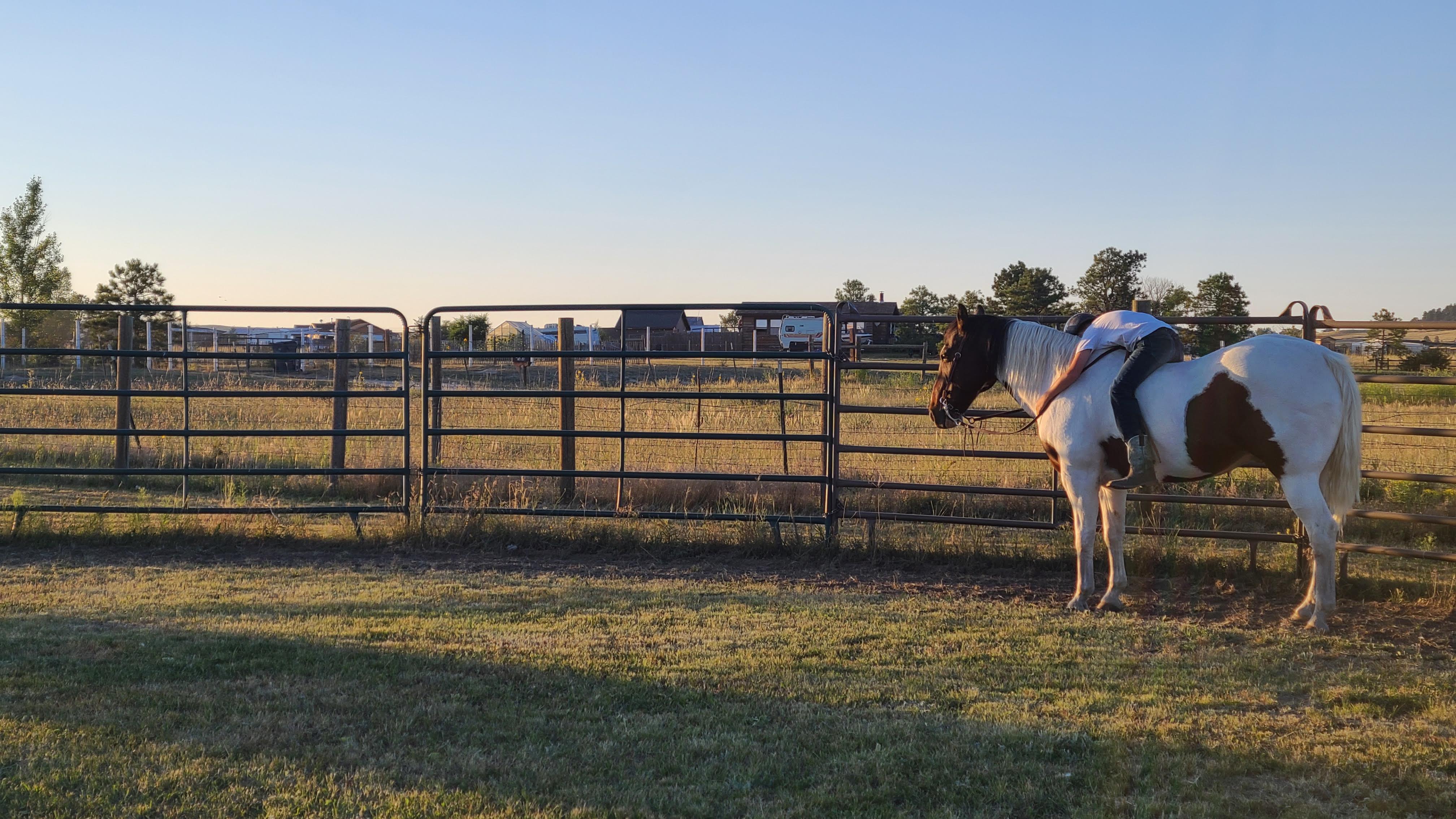 Raising Kids on a Homestead: We’re Not Raising Perfect Kids… We’re Raising Capable Ones.